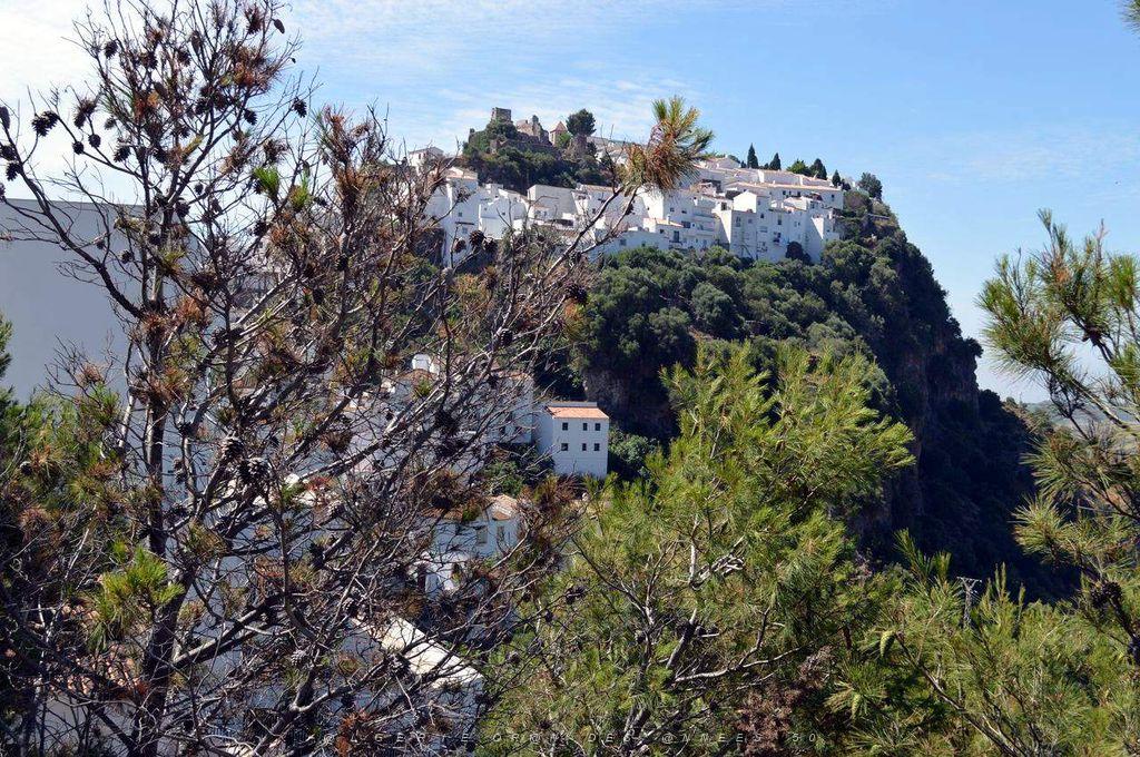 616- Casares.JPG
